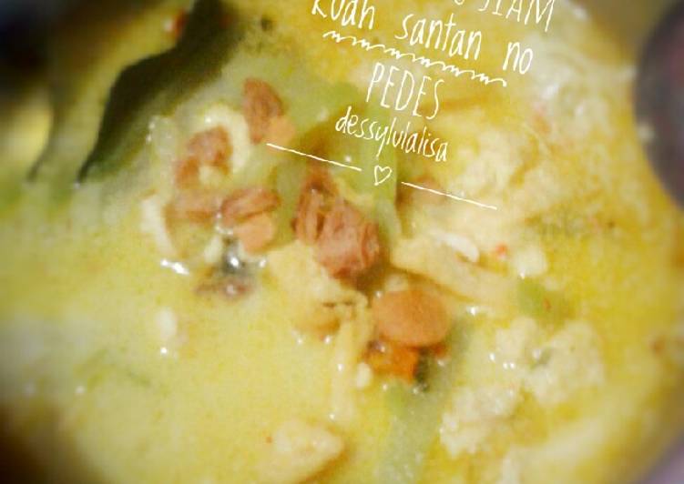 Labu siam kuah santan buat anak kecil gak pedes blass😊