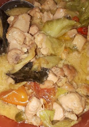 Foto resep #18 Tongseng Ayam