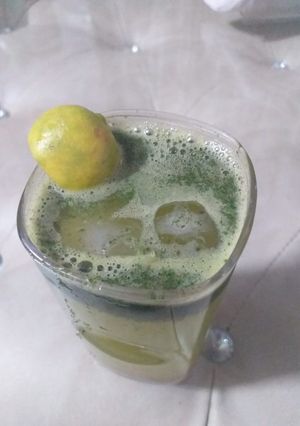 A picture of Mojito.