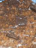 Torta Eliexer (Tronchatoro)