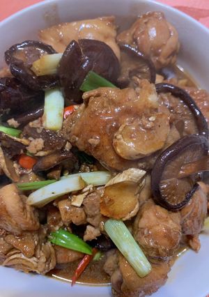 苦茶油雞 的食譜成品照片