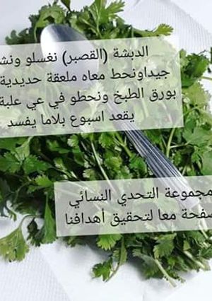 صورة لوصفة طريقتي للحفاظ على دبشة (كزبرة)