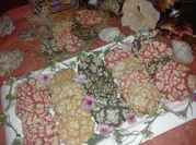 A picture of homemade snacks