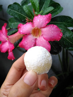 Foto resep Putri salju (Cheesy Snow ball)
