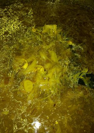 Foto resep Soto Seger Tanpa Santan