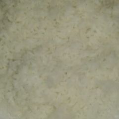 A picture of Rice.
