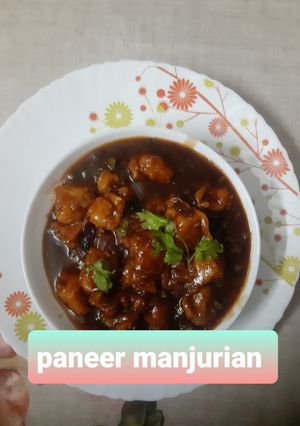 A picture of Paneer Manchurian.