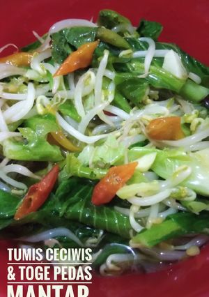 Foto resep Tumis Ceciwis & Toge Pedas Mantap