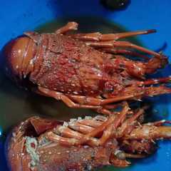 A picture of Lobster Asam Manis.