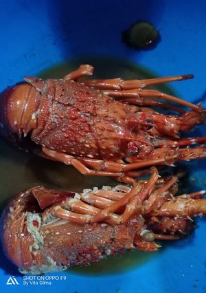Foto resep Lobster Asam Manis