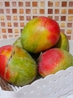 Foto resep PUDDING SUTERA MANGGA gampang takarannya & caranya
