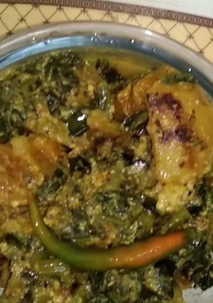 A picture of Bori Pui Saager Chochori.