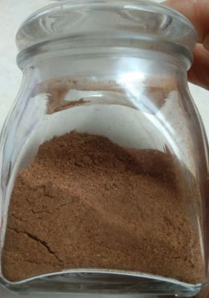 Foto resep Pumpkin Pie Spice Substitute