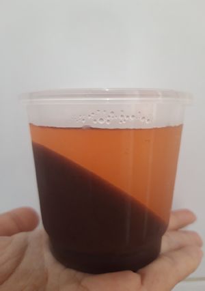 Foto resep Puding Coklat Mangga Nutrijel