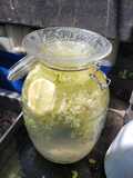 Bebida refrescante de sabugueiro