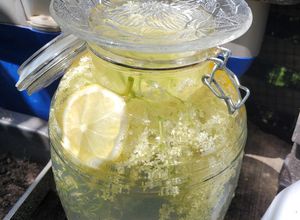 Foto de Bebida refrescante de sabugueiro