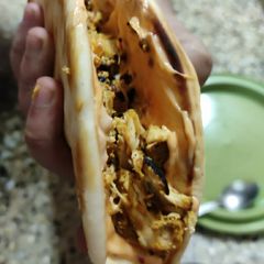 A picture of Shawarma.