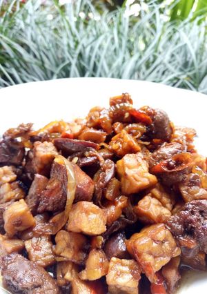 Foto resep Sambal Goreng Hati ayam + Tempe