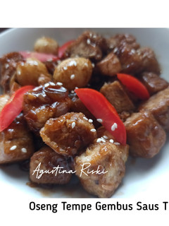 Foto resep Tempe Gembus Saus Tiram