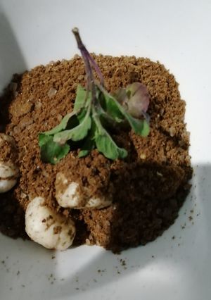 धनिया पंजीरी (Dhaniya panjiri recipe in Hindi) रेसिपी मुख्य फोटो