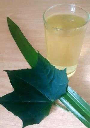 รูปของ ชาใบเตย &ไชยา Pandan &Chaya leaves Tea