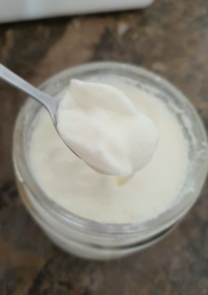 Foto resep Homemade Yogurt - Easy