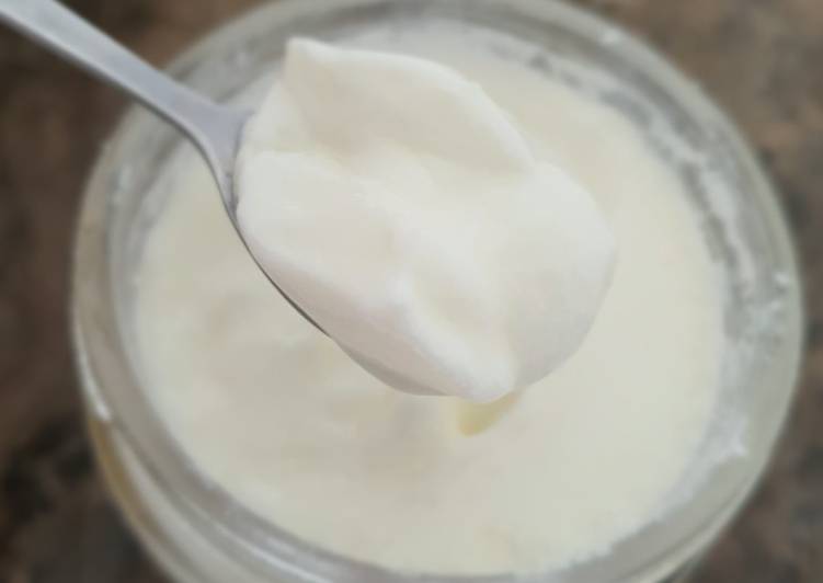 Homemade Yogurt - Easy