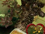 💗مخلفات نودلیت 💗