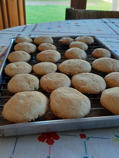 Una foto de Galletitas de Vainilla fáciles y rápidas!!