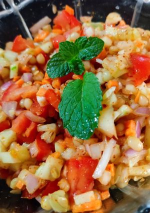 પ્રોટીન સલાડ (Protein Salad Recipe In Gujarati) રેસીપી મુખ્ય ફોટો
