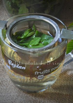 Une photo de Tisane de pousses de ronces, l'infusion santé