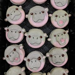 A picture of Moo Deng macarons.