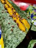 WRAPS🌯Ultrarapidísimos...!🥕🌶️🍅🧅🥒