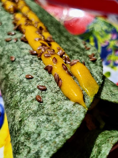 Una foto de WRAPS🌯Ultrarapidísimos...!🥕🌶️🍅🧅🥒