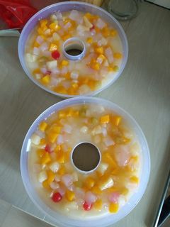 Foto resep Puding susu buah