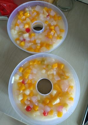 Foto resep Puding susu buah