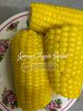 Jagung Manis Rebus