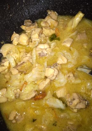 Foto resep Tongseng Ayam Santan 🐔