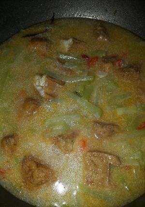 Foto resep Lodeh Tahu Gondes (Labu Siam)