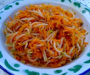 Resep Terbaru Tumis Tauge Wortel (Isian Tahu, Lumpia Jontor/Mercon/Jelotet) Enak Bergizi Resep Terbaru Tumis Tauge Wortel (Isian Tahu, Lumpia Jontor/Mercon/Jelotet) Enak Bergizi