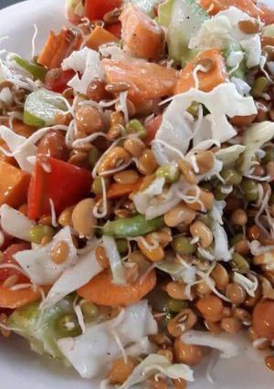 A picture of Red and green moong Sprouts salad.