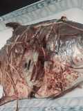 Pescado Chino, 中国鱼