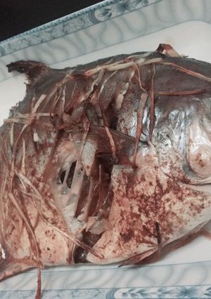 Una foto de Pescado Chino, 中国鱼