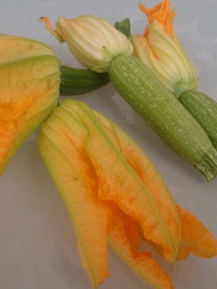 Una foto de Flor de calabacín en tempura