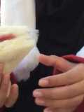 Inkigayo Sandwich