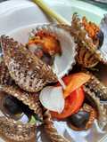 Asem Kerang Dara / Tuday