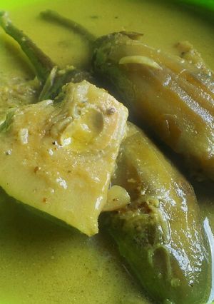 Foto resep Sayur Gori terong santan