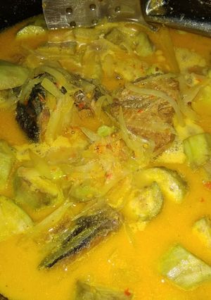 Foto resep Santan Tuna + Terong + Pepaya muda