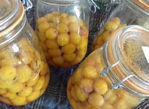 Une photo de Conserves de mirabelles au naturel
