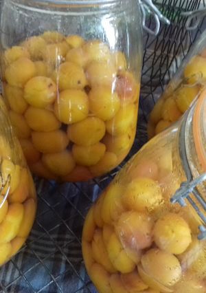 Une photo de Conserves de mirabelles au naturel